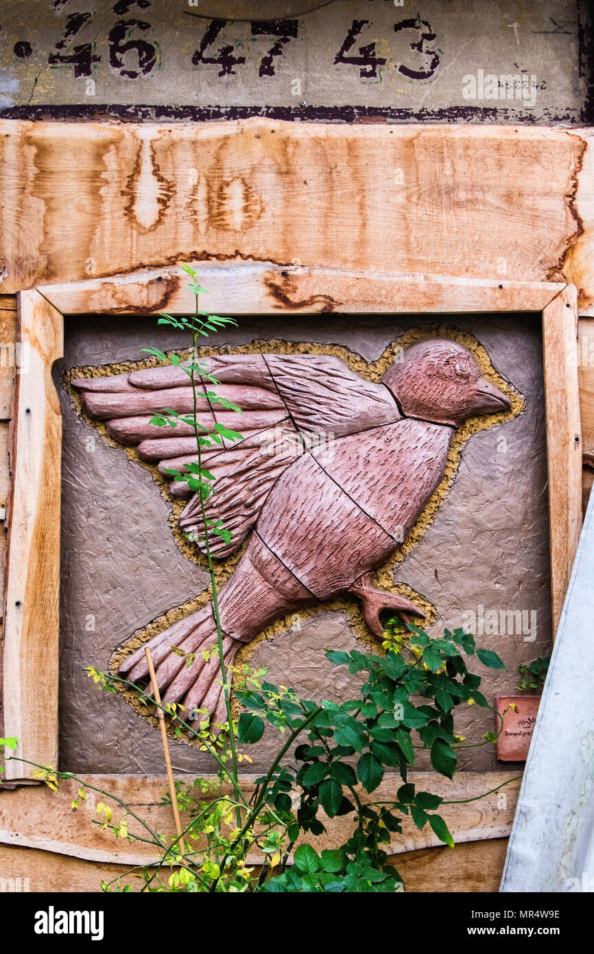 Wood cracked bird picture hi-res stock photography and images - Alamy