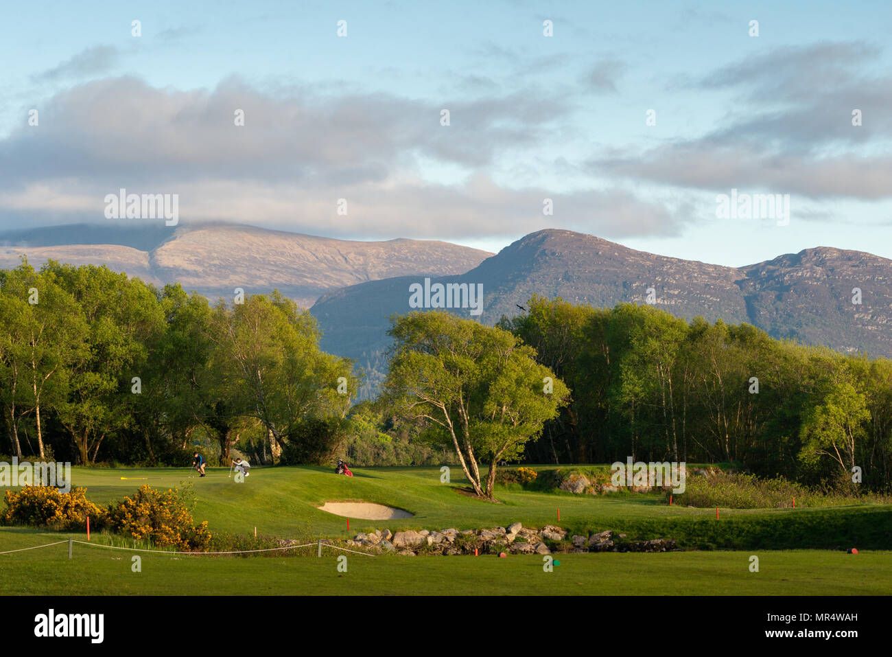 Golfers playing golf at Golf and Fishing Club Fossa with view over Mangerton Mountain and Torc Mountain Killarney National Park, County Kerry, Ireland Stock Photo