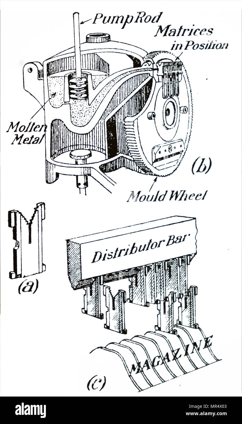 Diagram of a Linotype Machine, a 'line casting' machine used in printing: A) Matrix with 7 teeth on either side of deep notch. B) Casting the slug line of matrices and space bars clamped against the face of the mould wheel. Lever depressors pump plunger, forcing molten metal through the spout and fills the wheel slot and type depressions in matrices. This 'slug' moved to join previously cast type. C) Matrices falling from distributor bar into a magazine. Dated 20th century Stock Photo