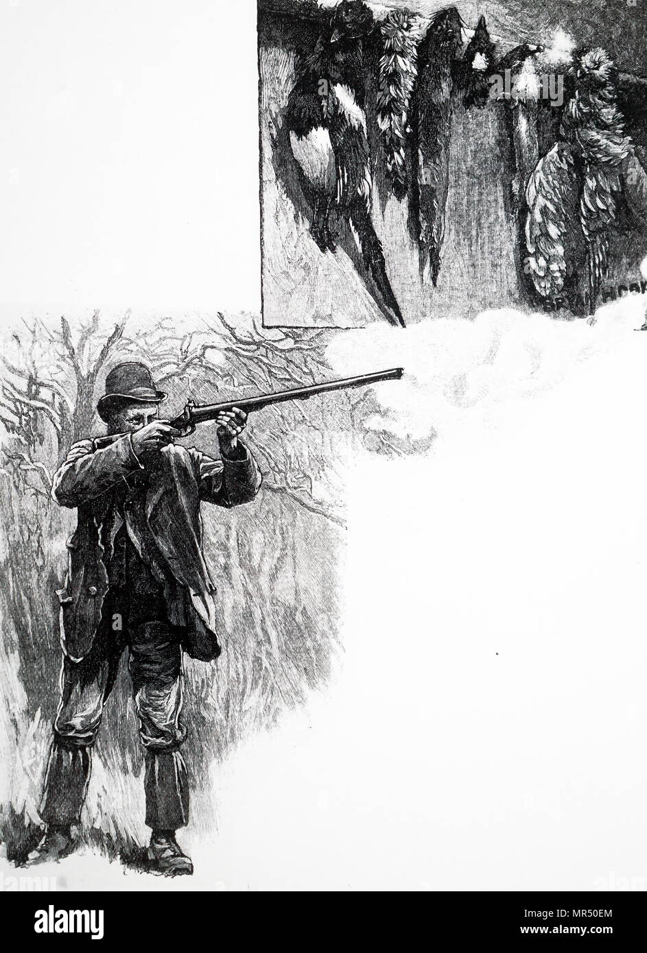 Illustration depicting a gamekeeper taking aim at his prey. Dated 19th century Stock Photo