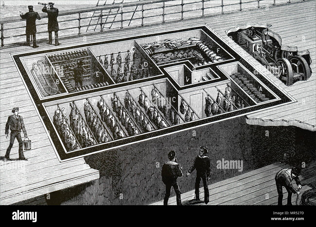 Crosssection of holds of a refrigerated ship, showing men handling