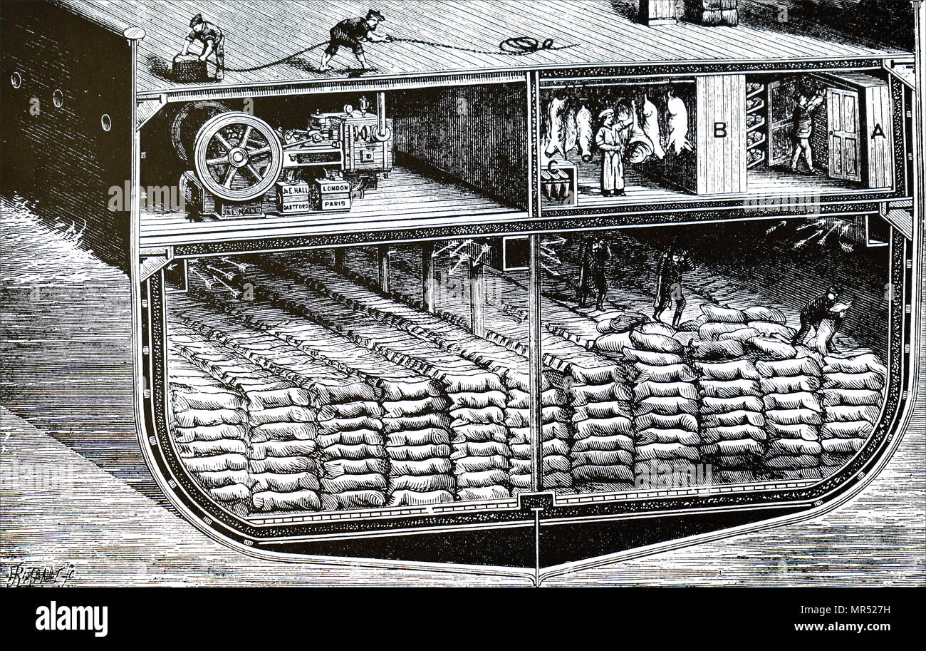 Crosssection of holds of a refrigerated ship, showing men handling