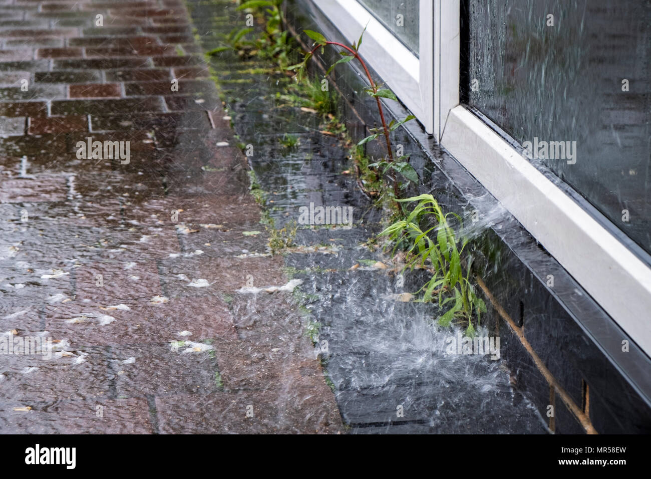 Wet weather. Rain water flowing down a glass window and splashing on to the pavement, Nottinghamshire, England, UK Stock Photo