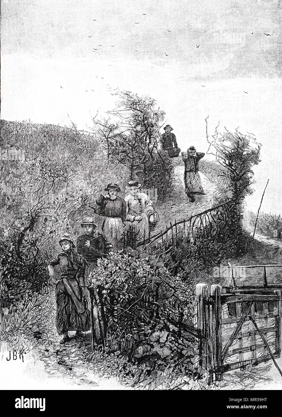 Engraving depicting the harvesting of stripped hops from the fields to the drying kilns. Dated 19th century Stock Photo