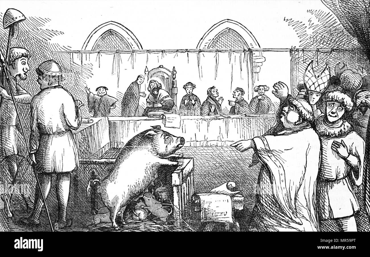 Illustration titled 'Trial of a Sow and Pigs at Lavegny'. In 1457 a sow was convicted of murder and was sentenced to be hanged, whilst the piglets were aqquited as there was no evidence against them. Dated 19th century Stock Photo