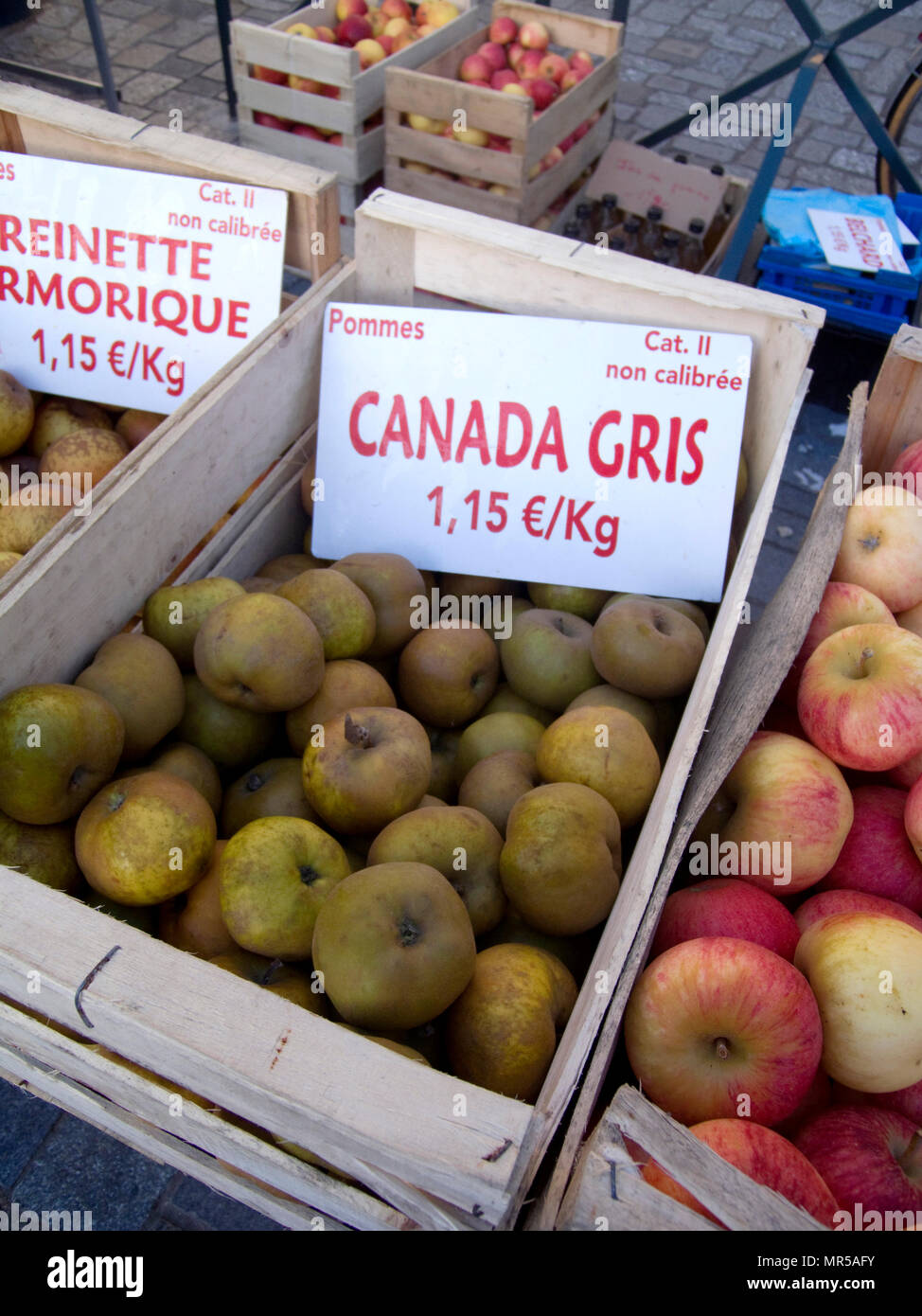 Rennes, FRANCE,  'General View different varieties of Apples on display', at the Saturday Morning Market,  Brittany. location Marché des Lices, Halles Centrales. Old Town Quarter  Saturday  26/12/2009      © Peter SPURRIER Stock Photo