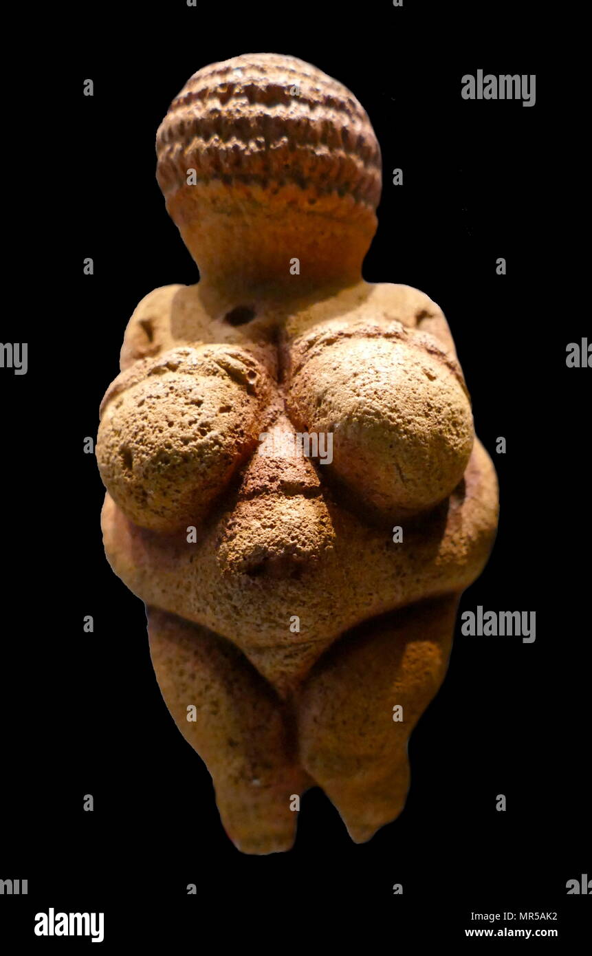 Photograph of the Venus of Willendorf, an 11.1-centimetre-high (4.4 in) Venus figurine ; made between about 28,000 and 25,000 BCE. It was found in 1908 by a workman named Johann Veran during excavations conducted by archaeologists Josef Szombathy, Hugo Obermaier and Josef Bayer at a Palaeolithic site near Willendorf, a village in Lower Austria near the town of Krems. carved from an oolitic limestone that is not local to the area, and tinted with red ochre. Stock Photo
