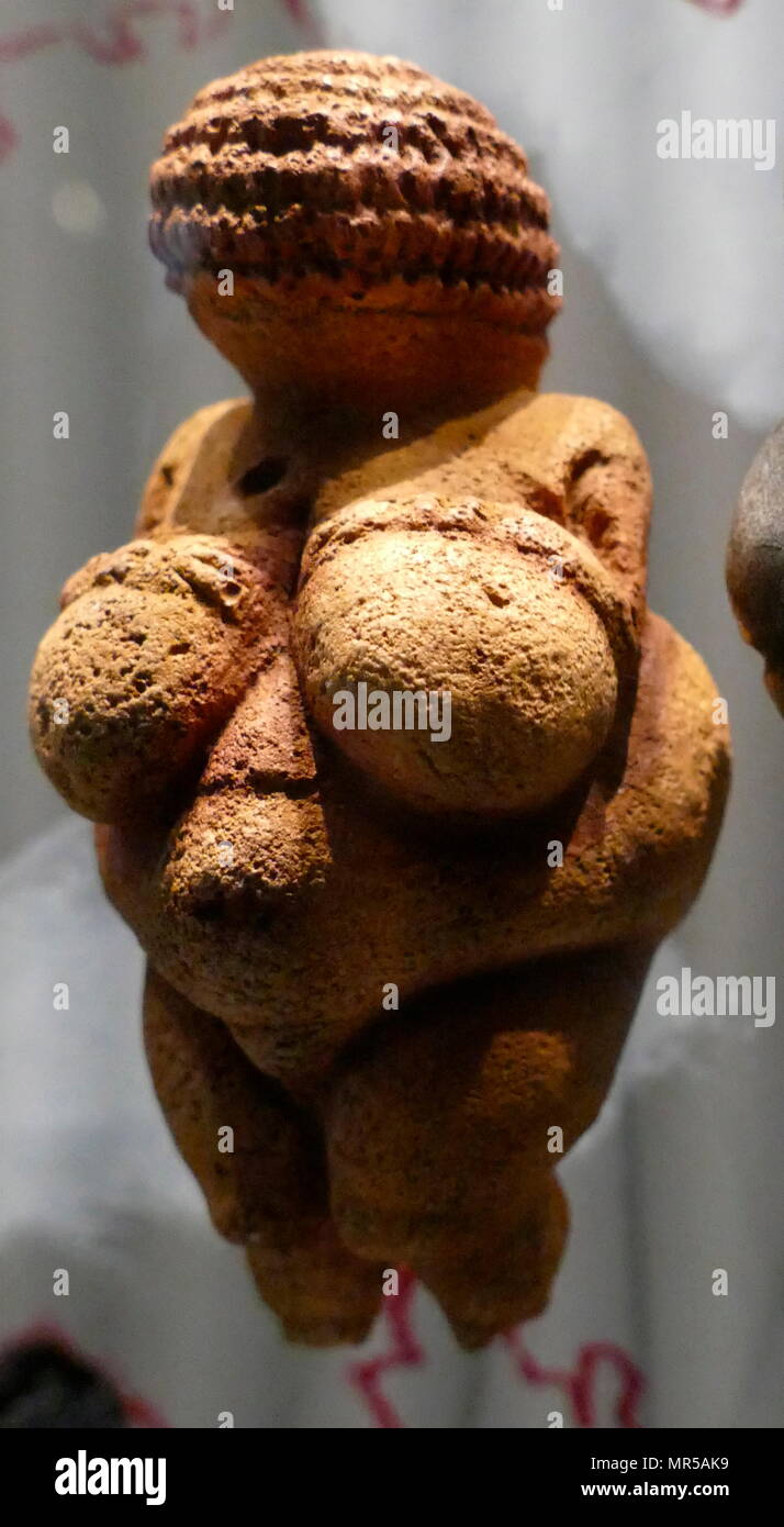 Photograph of the Venus of Willendorf, an 11.1-centimetre-high (4.4 in) Venus figurine ; made between about 28,000 and 25,000 BCE. It was found in 1908 by a workman named Johann Veran during excavations conducted by archaeologists Josef Szombathy, Hugo Obermaier and Josef Bayer at a Palaeolithic site near Willendorf, a village in Lower Austria near the town of Krems. carved from an oolitic limestone that is not local to the area, and tinted with red ochre. Stock Photo