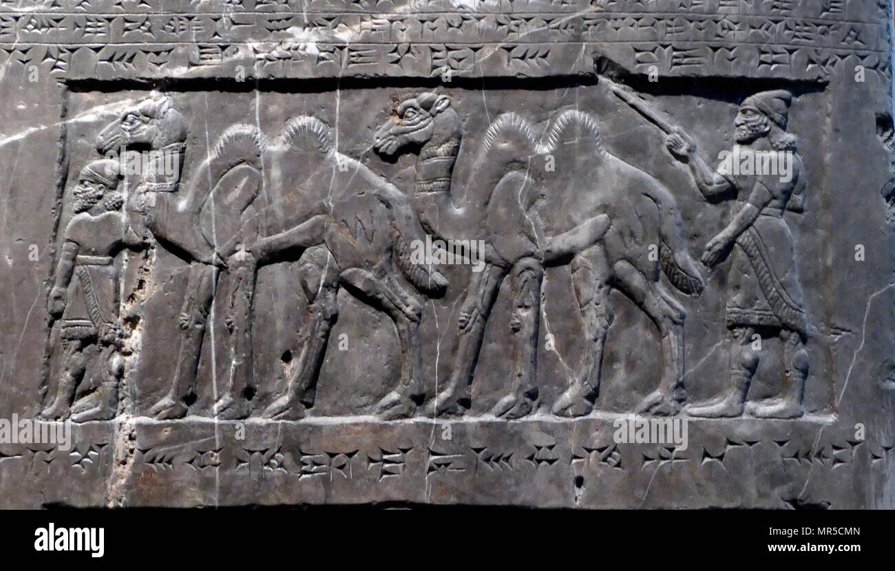 Detail from the Black Obelisk, of Shalmaneser III. A black limestone Assyrian sculpture with scenes in bas-relief and inscriptions. It comes from Nimrud (ancient Kalhu), in northern Iraq, and commemorates the deeds of King Shalmaneser III (reigned 858-824 BC). Stock Photo