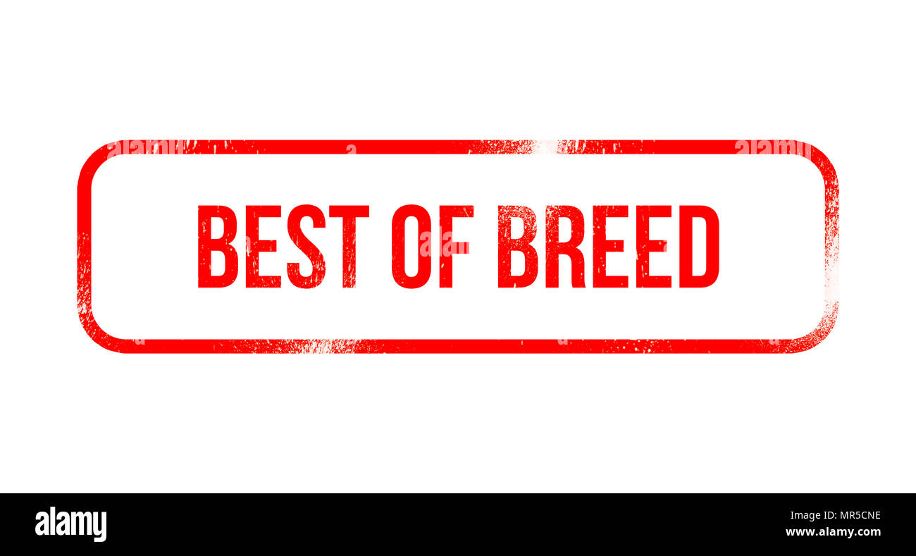 Best of Breed - red grunge rubber, stamp Stock Photo