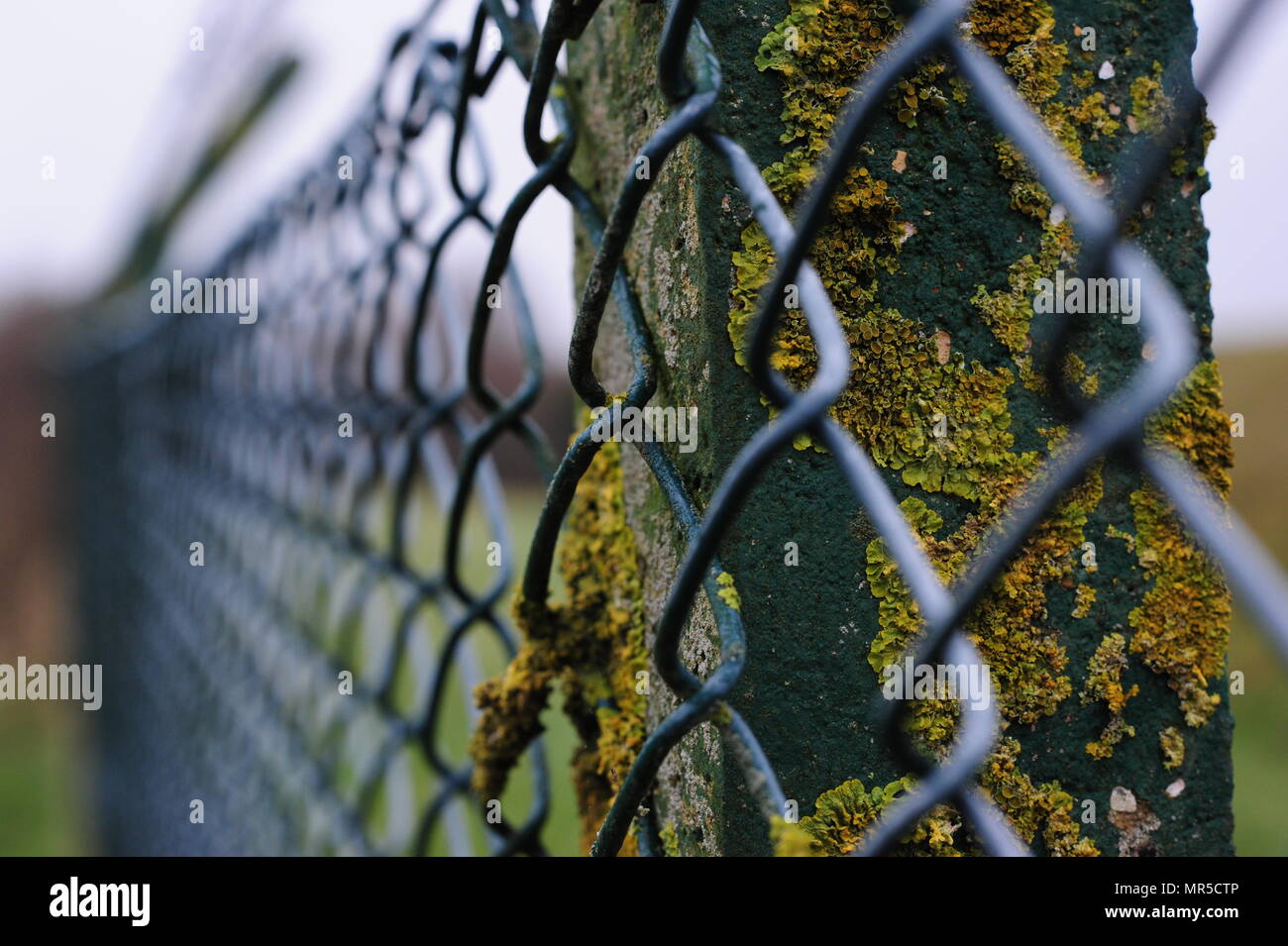 Concrete fence post hi-res stock photography and images - Alamy