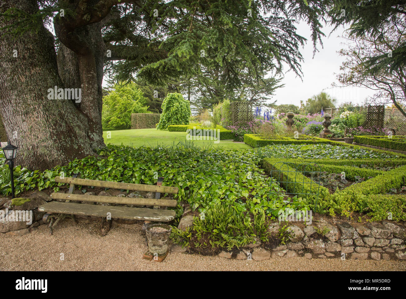 Dunedin Otago New Zealand December 122016 Bench And Garden