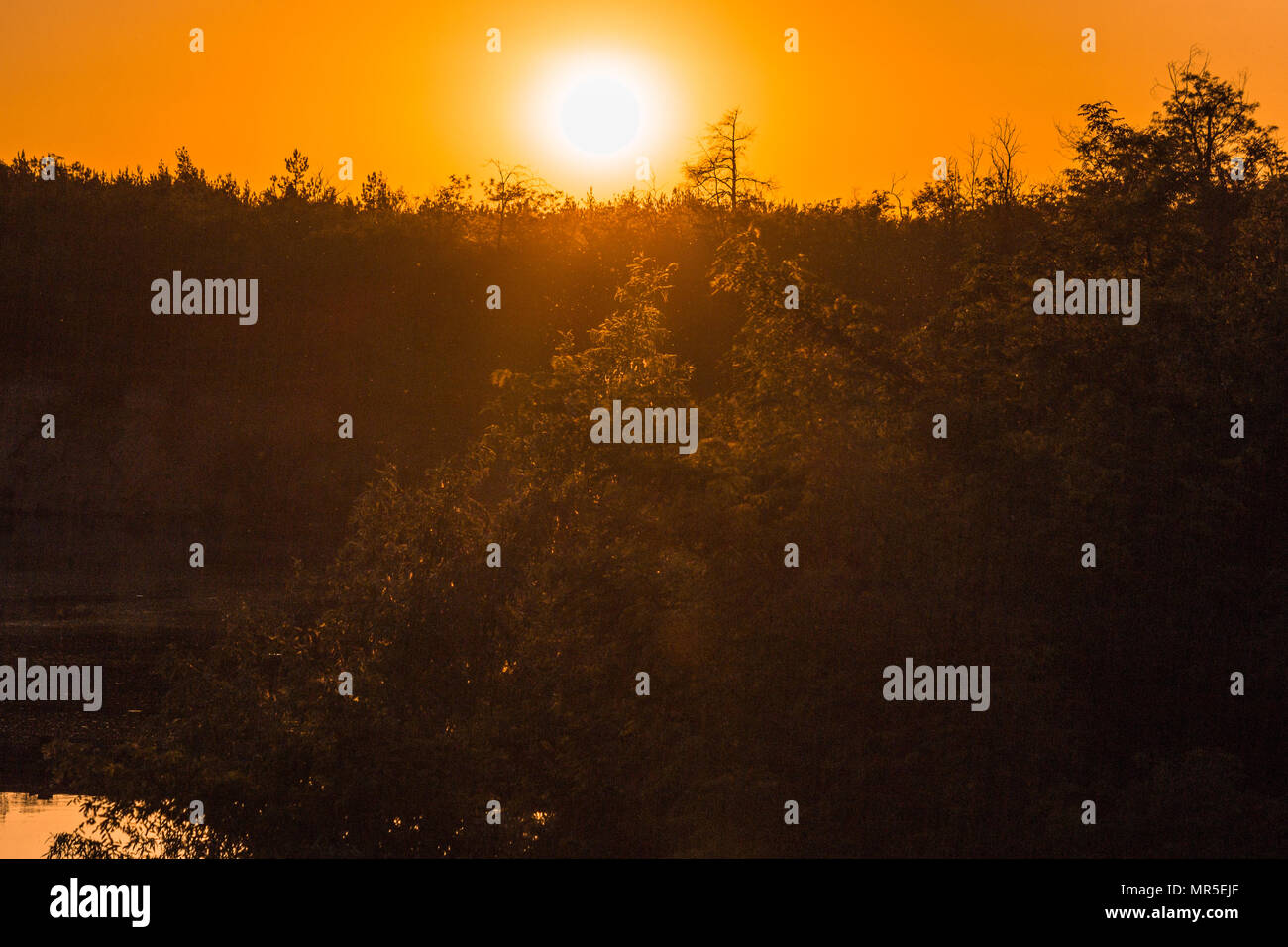 May sunset over the river Stock Photo - Alamy