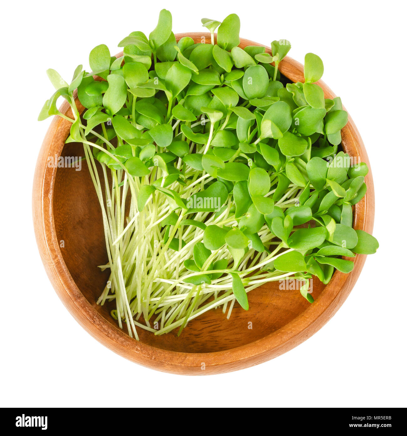 Flax microgreens in wooden bowl. Shoots of Linum also called common