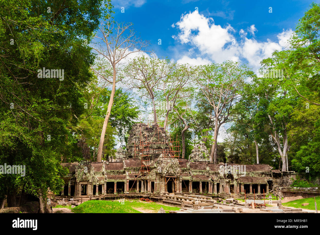 The beautiful ancient gate ruin on the east side with a long causeway, surrounded by huge trees, is leading to the inner part of the Ta Prohm temple. Stock Photo
