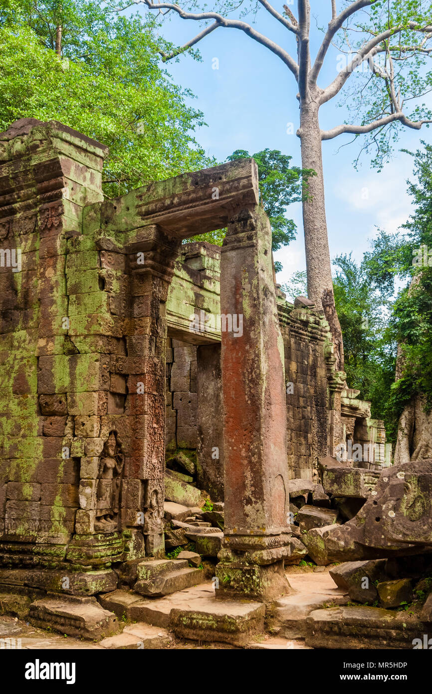 A reddish door frame ruin with bas-reliefs surrounded by collapsed stones in the famous Ta Prohm temple ruins in Angkor, Siem Reap, Cambodia. Stock Photo