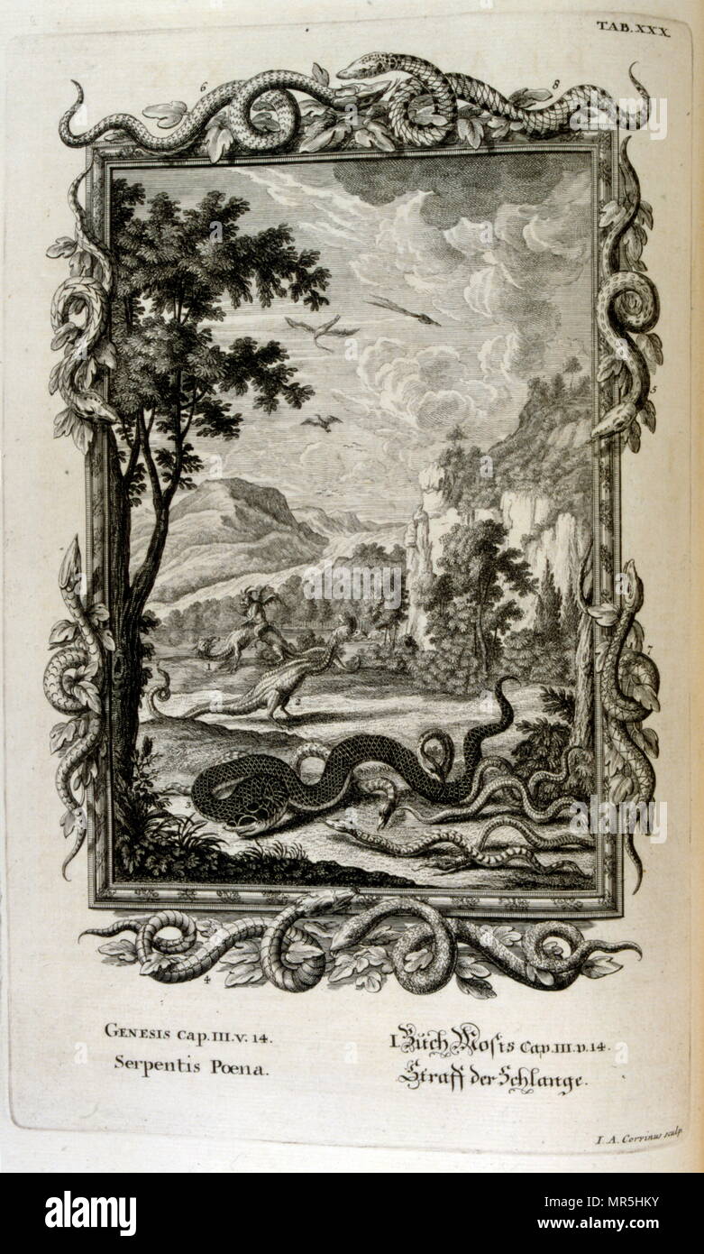 Copperplate engraving from 'Physica Sacra' by Swiss scholar, Johann Jakob Scheuchzer (1672 – 1733). Scheuchzer believed the Old Testament was a factual representation of human history & natural life. Physica Sacra is a compilation of art, science & spirituality. Scheuchzer uses the Bible as a reference for describing the natural world. Physica Sacra is also known as the Kupfer-Bibel which translates to “Copper Bible.” The sketches were done by Johann Melchior Fussli & a number of engravers worked on the compilation. Originally published in 1731, it features over 700 copper plate engravings Stock Photo