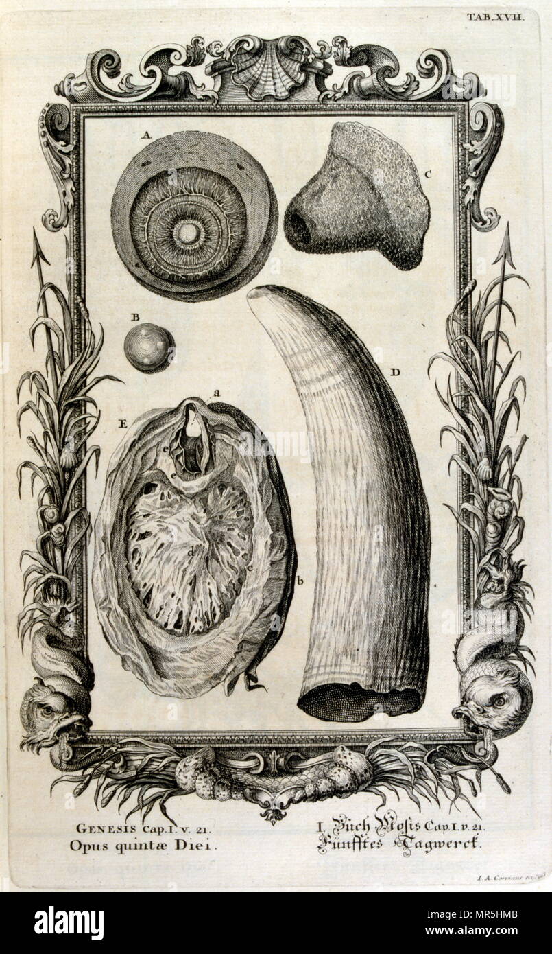 Copperplate engraving from 'Physica Sacra' by Swiss scholar, Johann