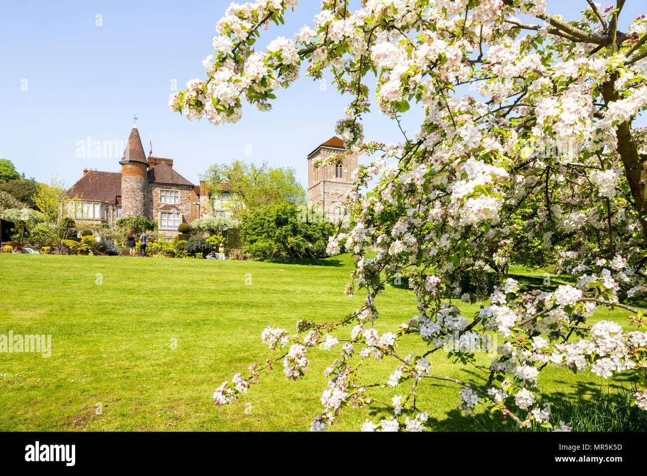 Apple blossom in the gardens of Little Malvern Court a 15th century Priors Hall at Little Malvern, Worcestershire UK Stock Photo