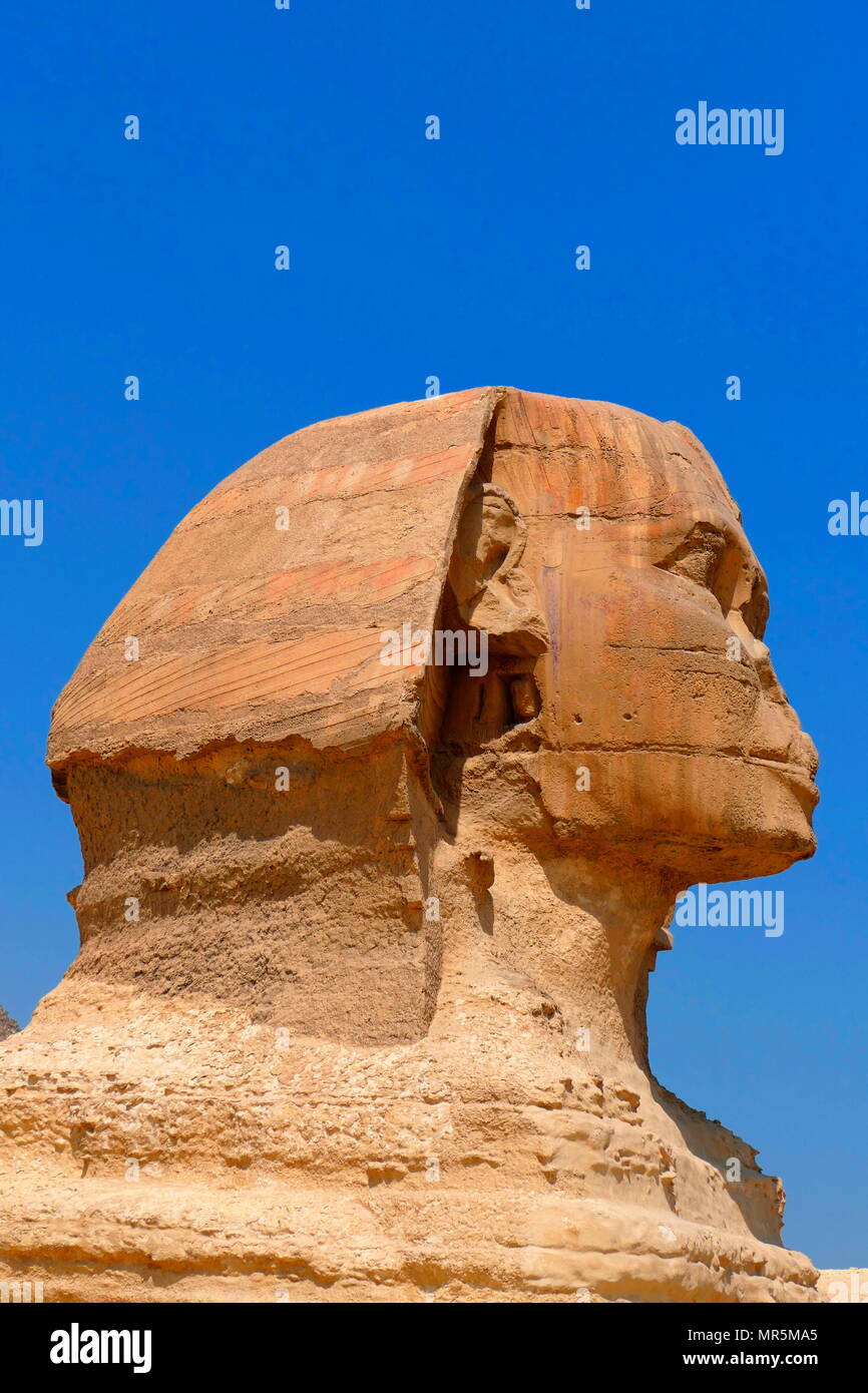 The Great Sphinx of Giza. limestone statue of a reclining sphinx, a mythical creature with the