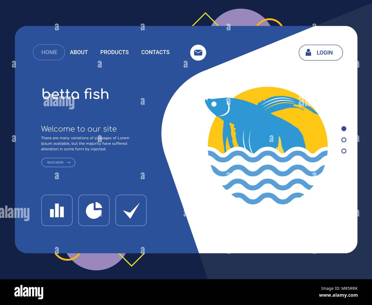 Betta fish best sale website