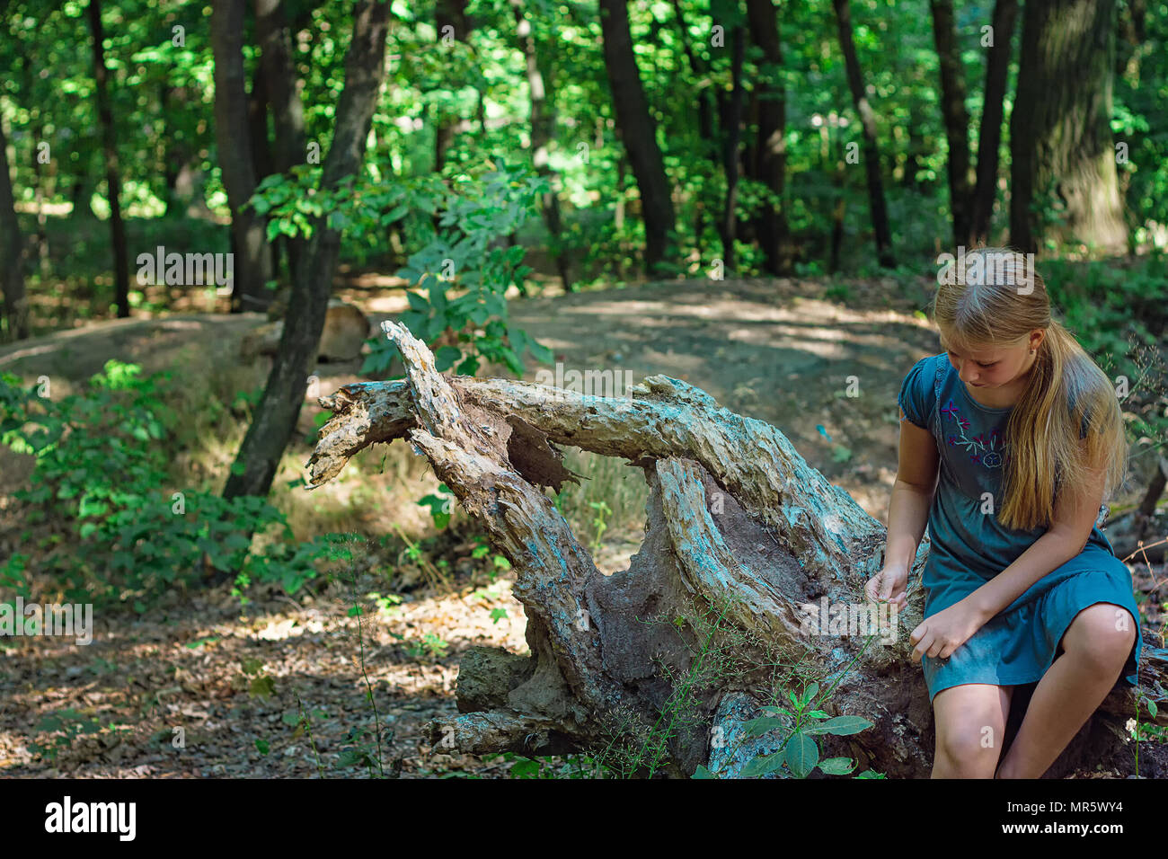 Girl sitting on a tree stump in a forest Stock Photo - Alamy