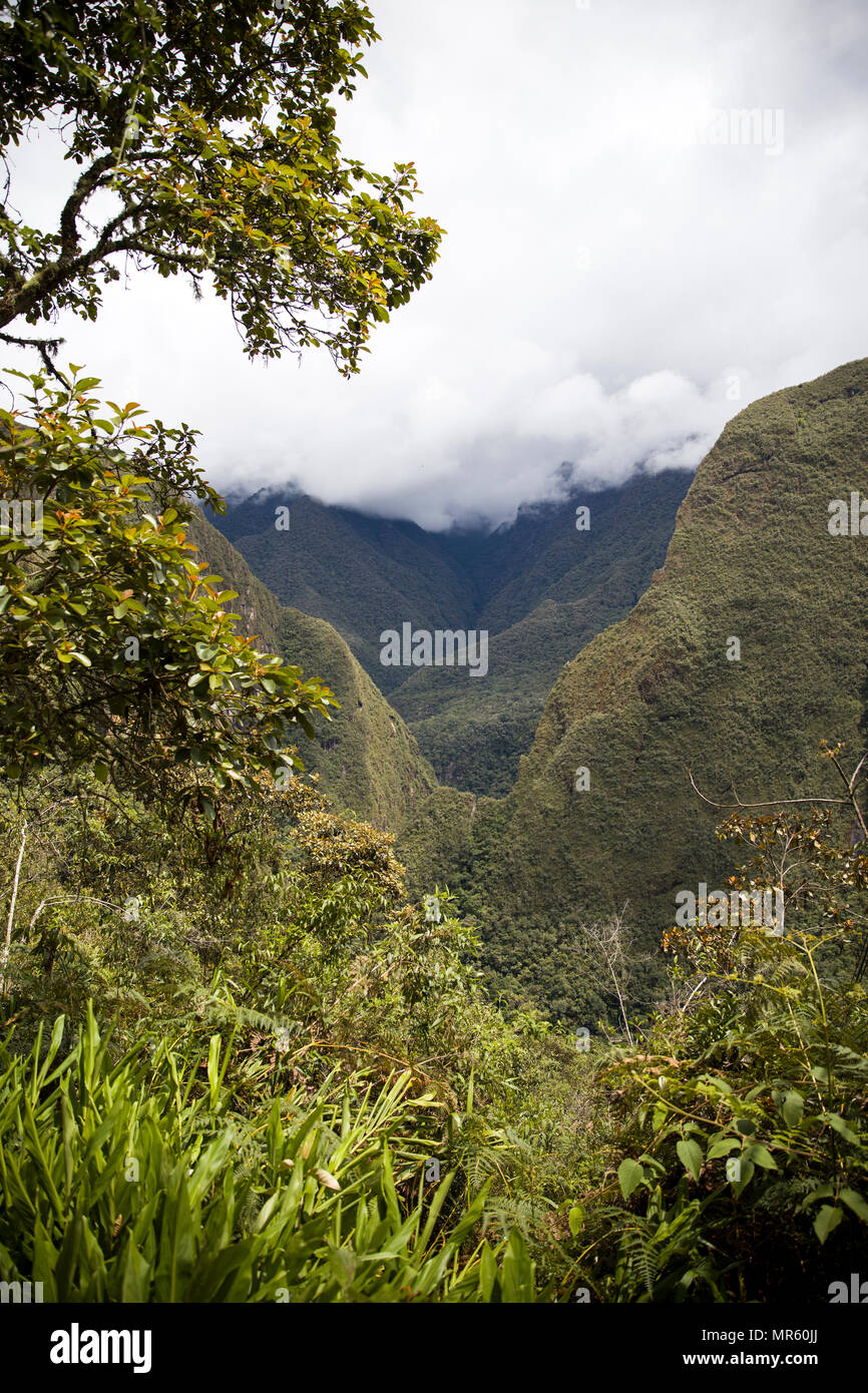 Detail of the Machu Picchu Inca citadel in Peru Stock Photo - Alamy
