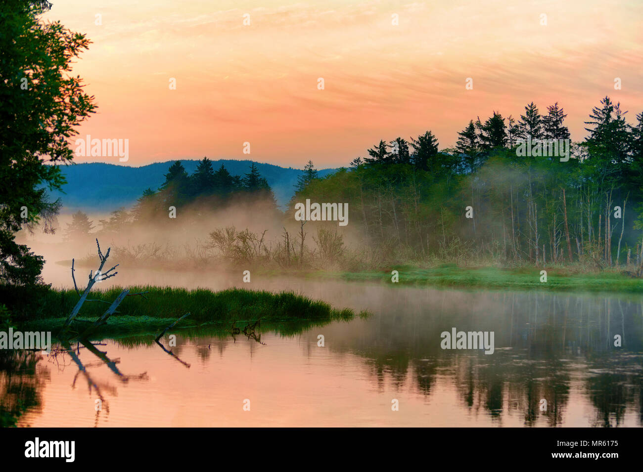 Inland lake at Fort Stevens State Park, Oregon.  this coastal inland body of water reflects it's shores, veiled in mist,colored by the rising sun. Stock Photo