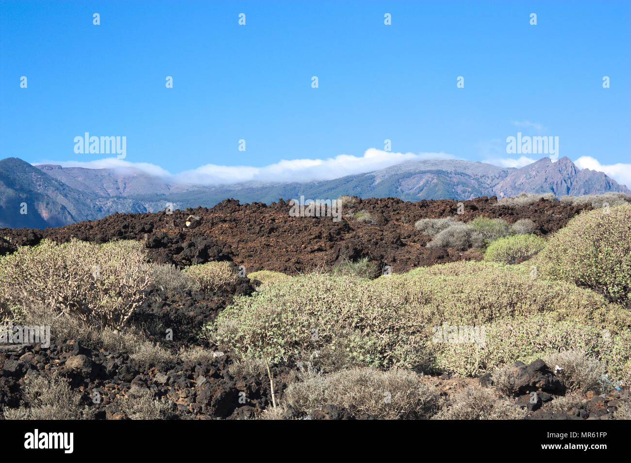 Arid Zone Stock Photos & Arid Zone Stock Images Alamy
