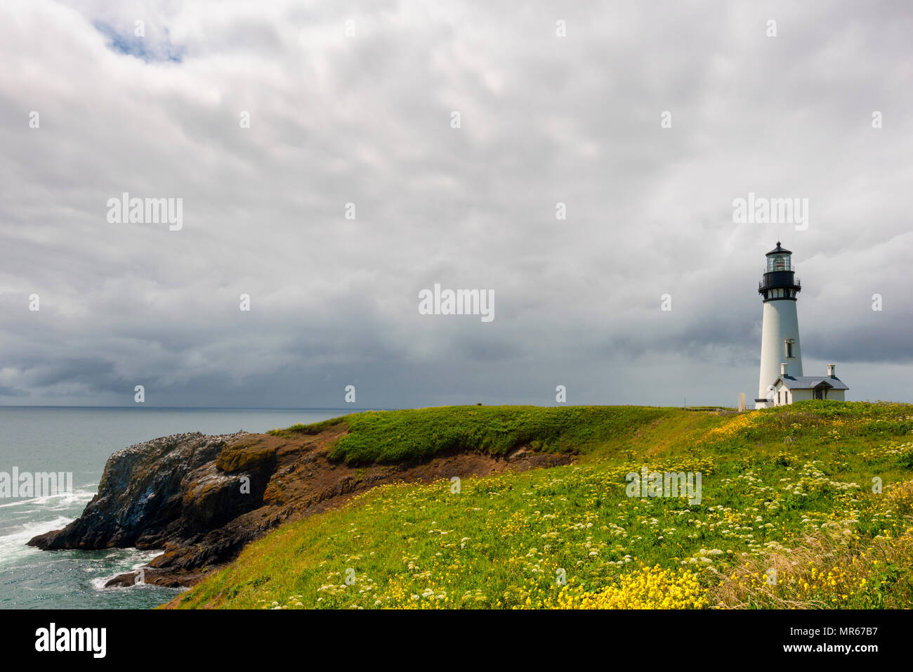 Yaquina Head Lighthouse on the Oregon coast in Newport Oregon.  Big cloudy skies for copyspace with yellow wildflowers blooming in the foreground Stock Photo