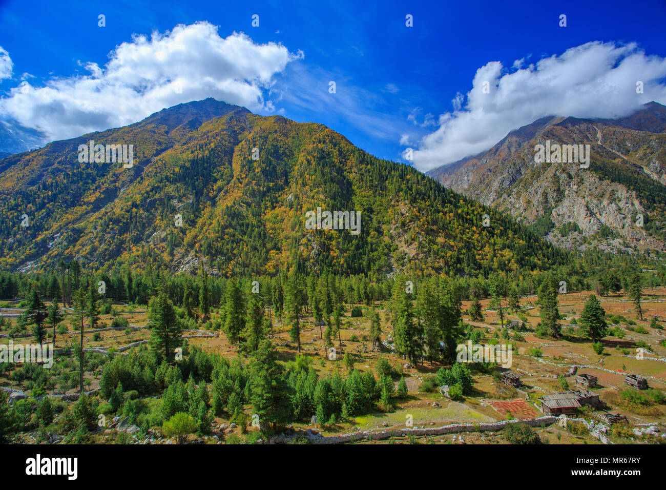 Beautiful Sangla Valley (Himachal Pradesh, India Stock Photo - Alamy
