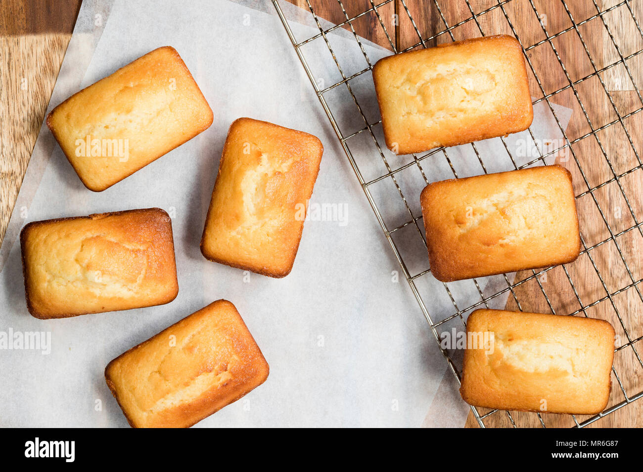 Small orange loaf cakes cooling on a wire rack and on baking paper ...
