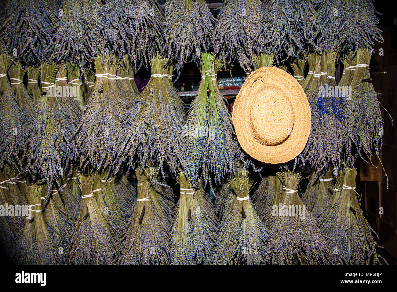 Vintage Lavender flowers drying on a rack and a straw hat, New Jersey, USA, commercial flowers botanicals herb still life herbs unconventional Stock Photo