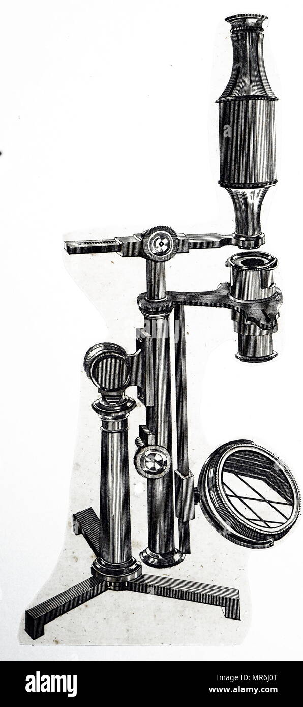 Illustration depicting a compound microscope by Adams of London. Dated
