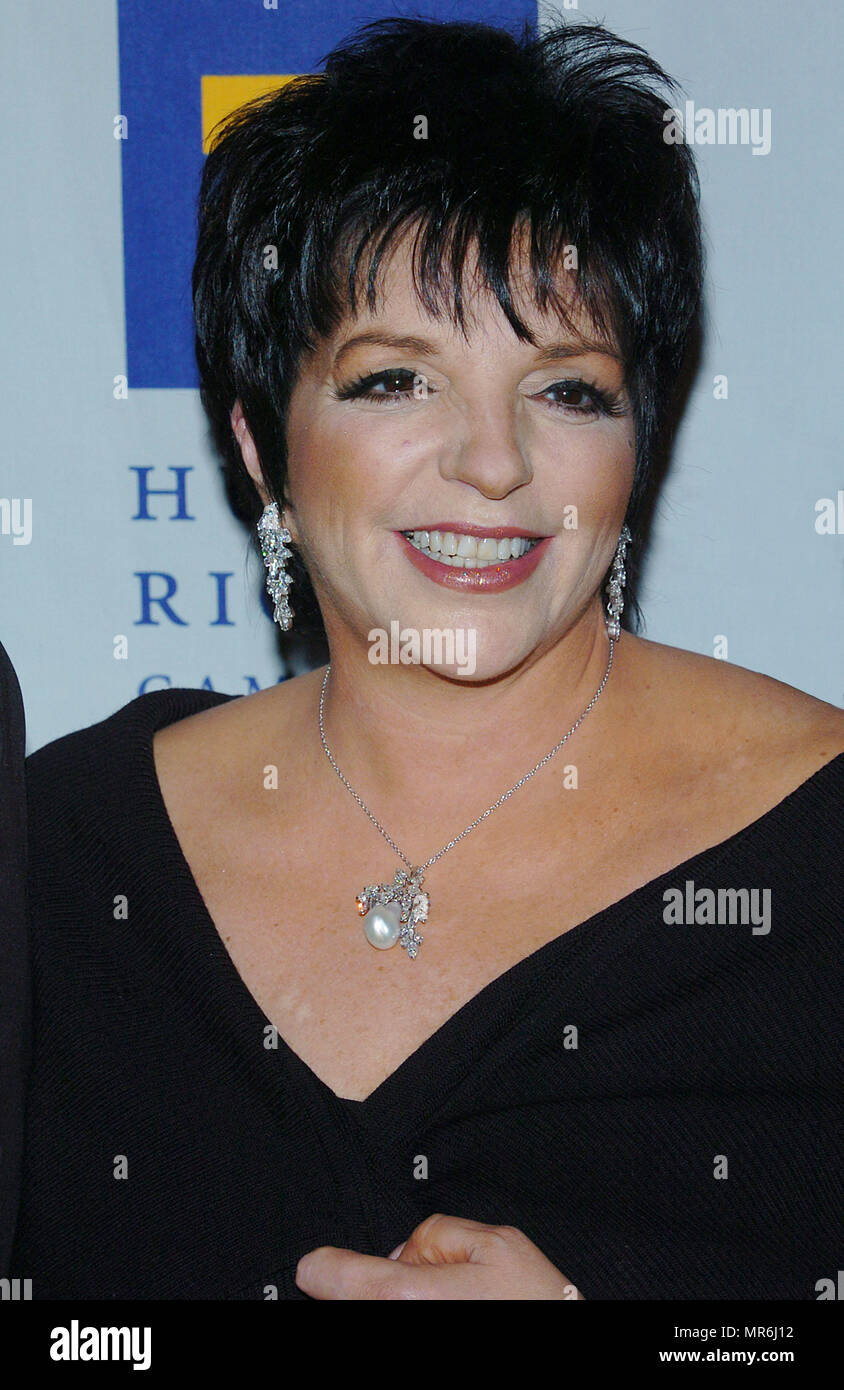 Liza Minnelli arriving at the Humanitarian Awards at the Human Right ...