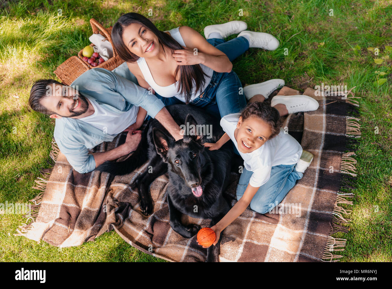 overhead view of smiling family resting together on blanket on picnic ...