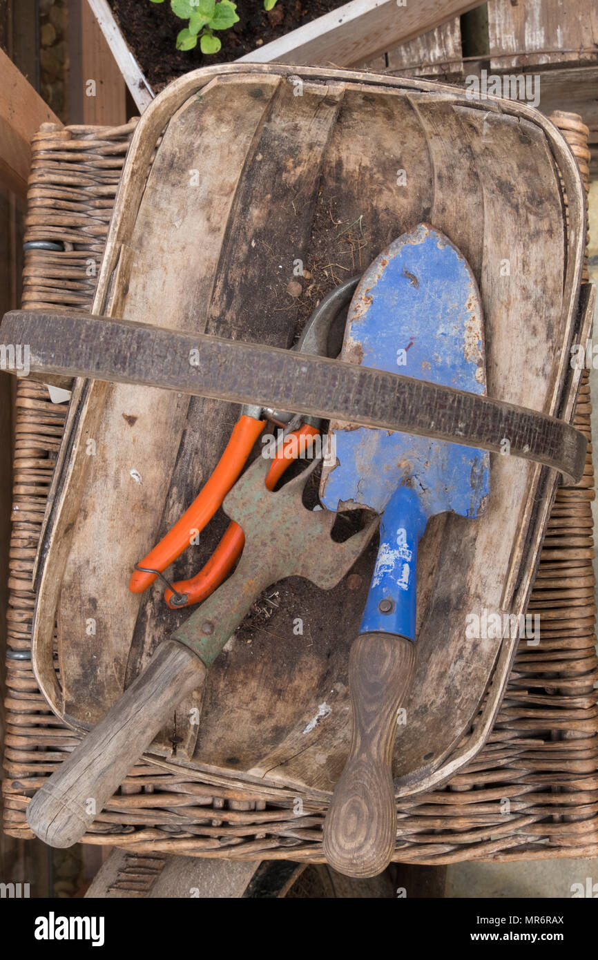 Garden Trug basket with trowel fork and secateurs Stock Photo