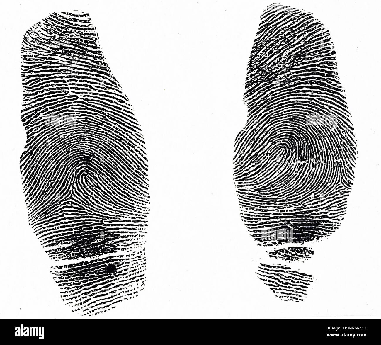 Two different sets of thumb prints. Prints in China were used to identify criminals, while Western police forces were still using photographs. Dated 19th century Stock Photo