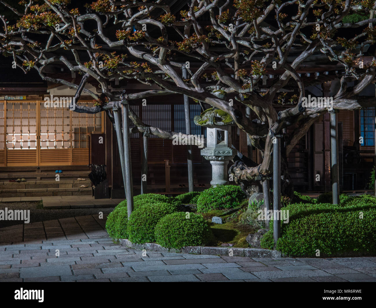 Temple garden at night, with ishidoro stone lantern, Koyasan, Wakayama Prefecture, Japan Stock Photo