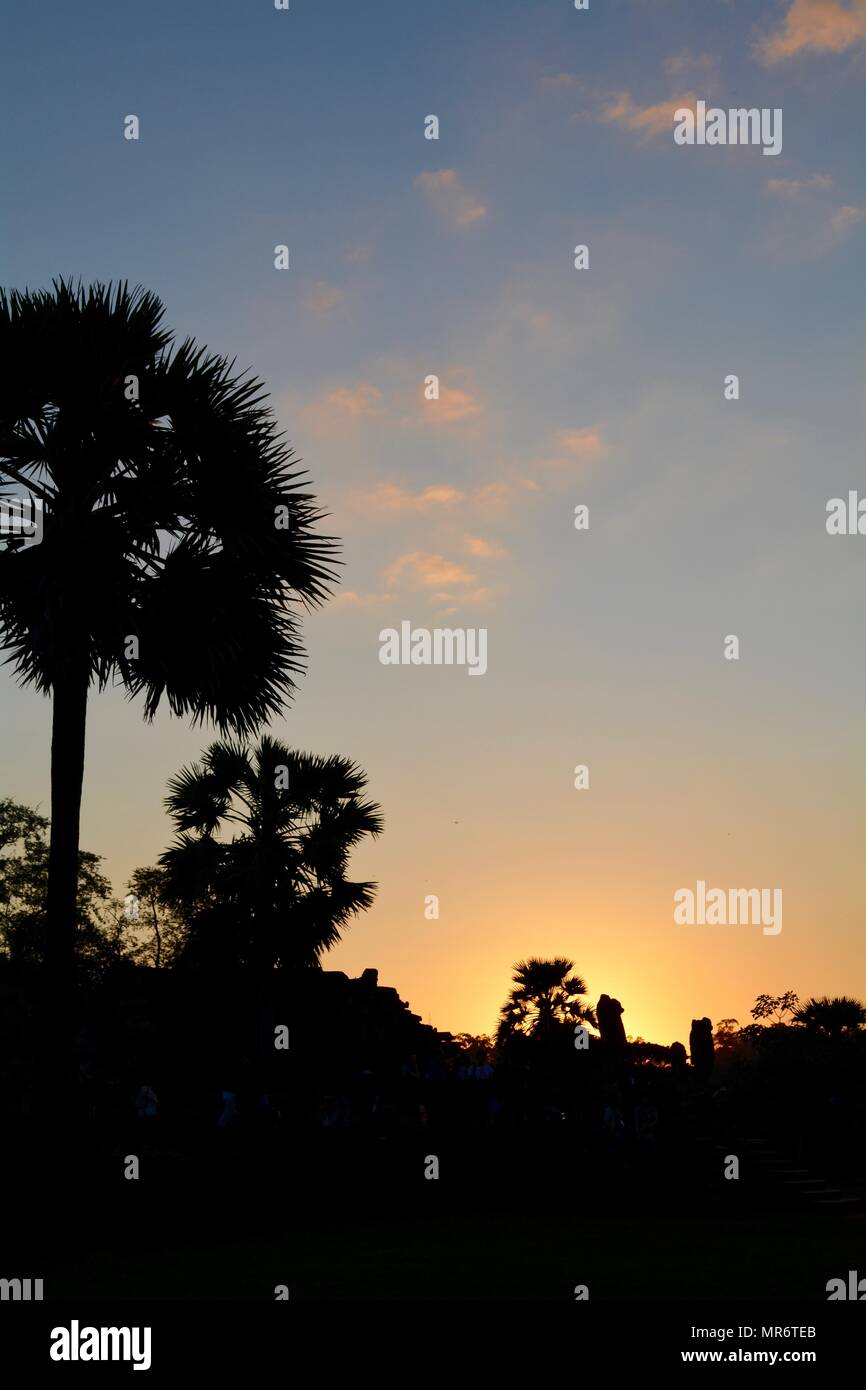 dawn over palm trees in Cambodia Stock Photo