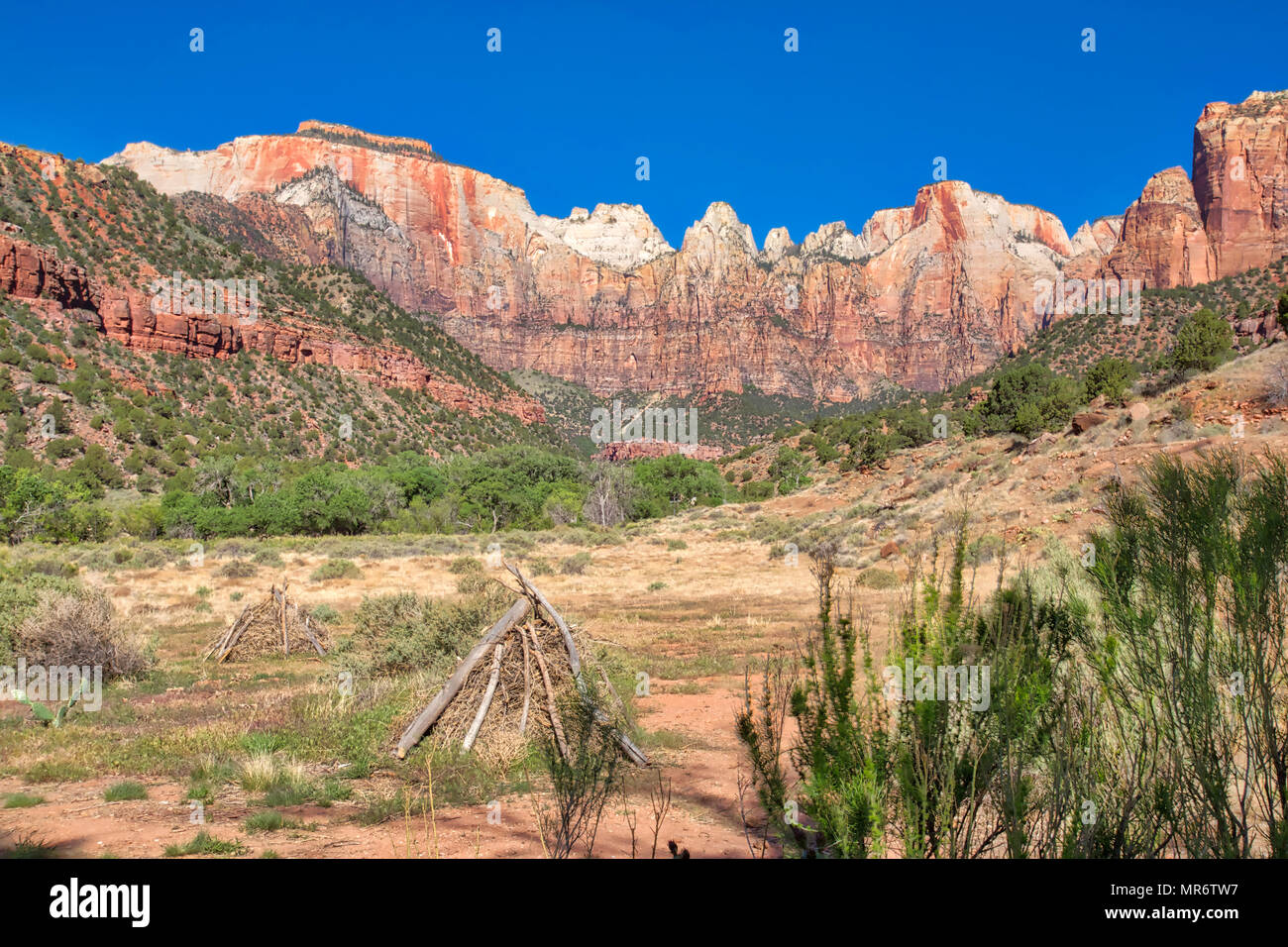 West Temple Panorama in Zion National Park Stock Photo Alamy