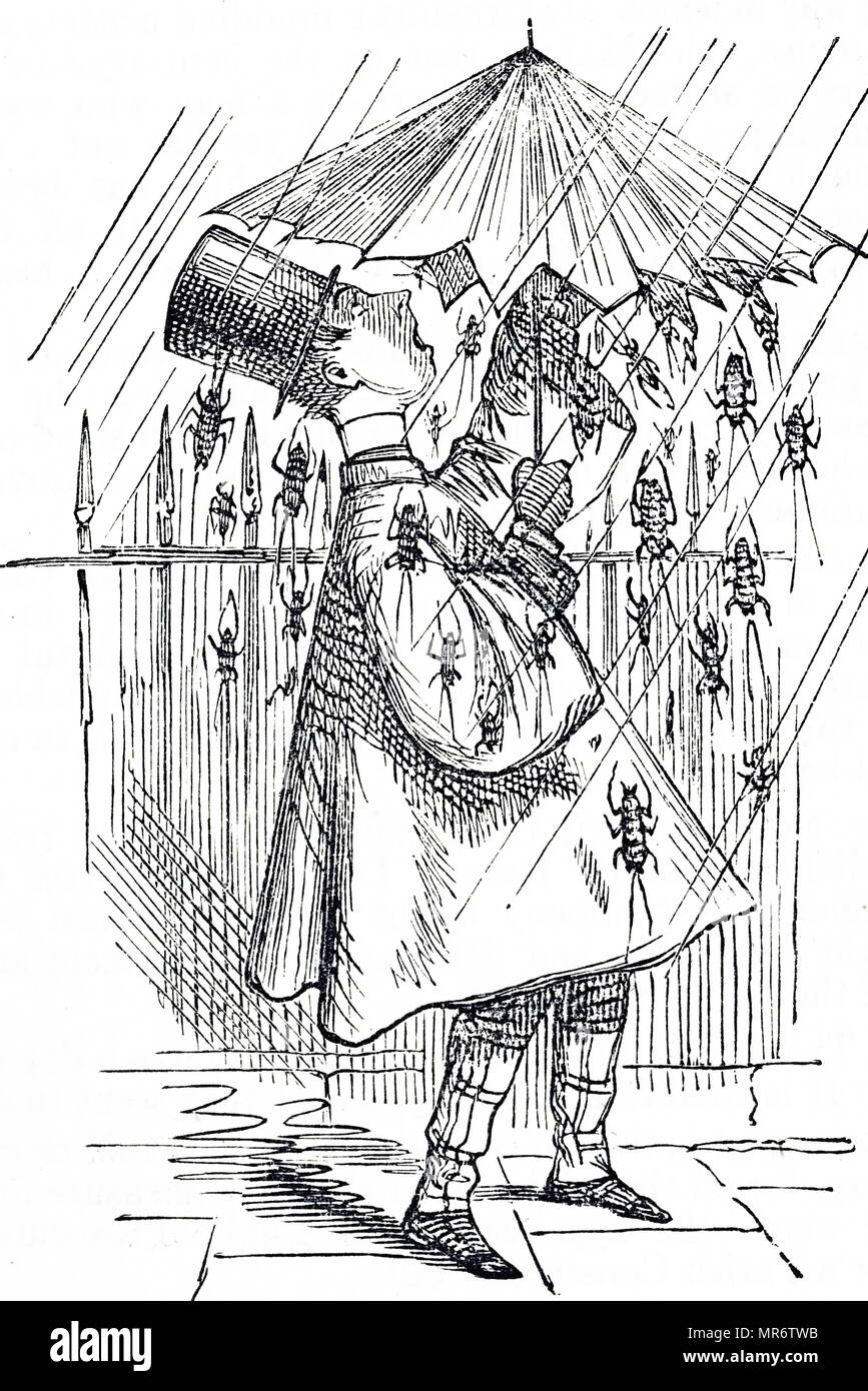Cartoon depicting a man sheltering himself from the down-pour of cockroaches and black beetles. The comic is commenting on Victorian kitchens which were heavily infested with cockroaches and black beetles. Dated 19th century Stock Photo