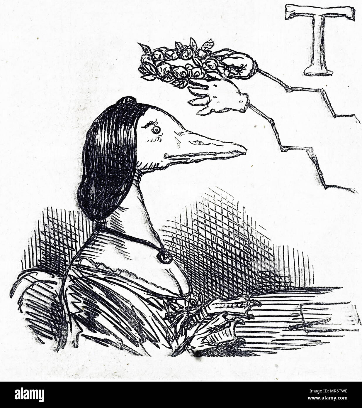 1870 cartoon showing a zoomorphic duck receiving a laurel garland as a fashion accessory. English 19th century; Stock Photo