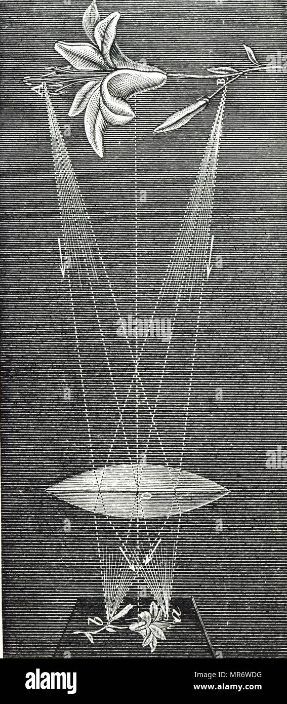 Engraving depicting a double convex lens, showing refraction of light and the conjugate focus (b,a). Dated 19th century Stock Photo