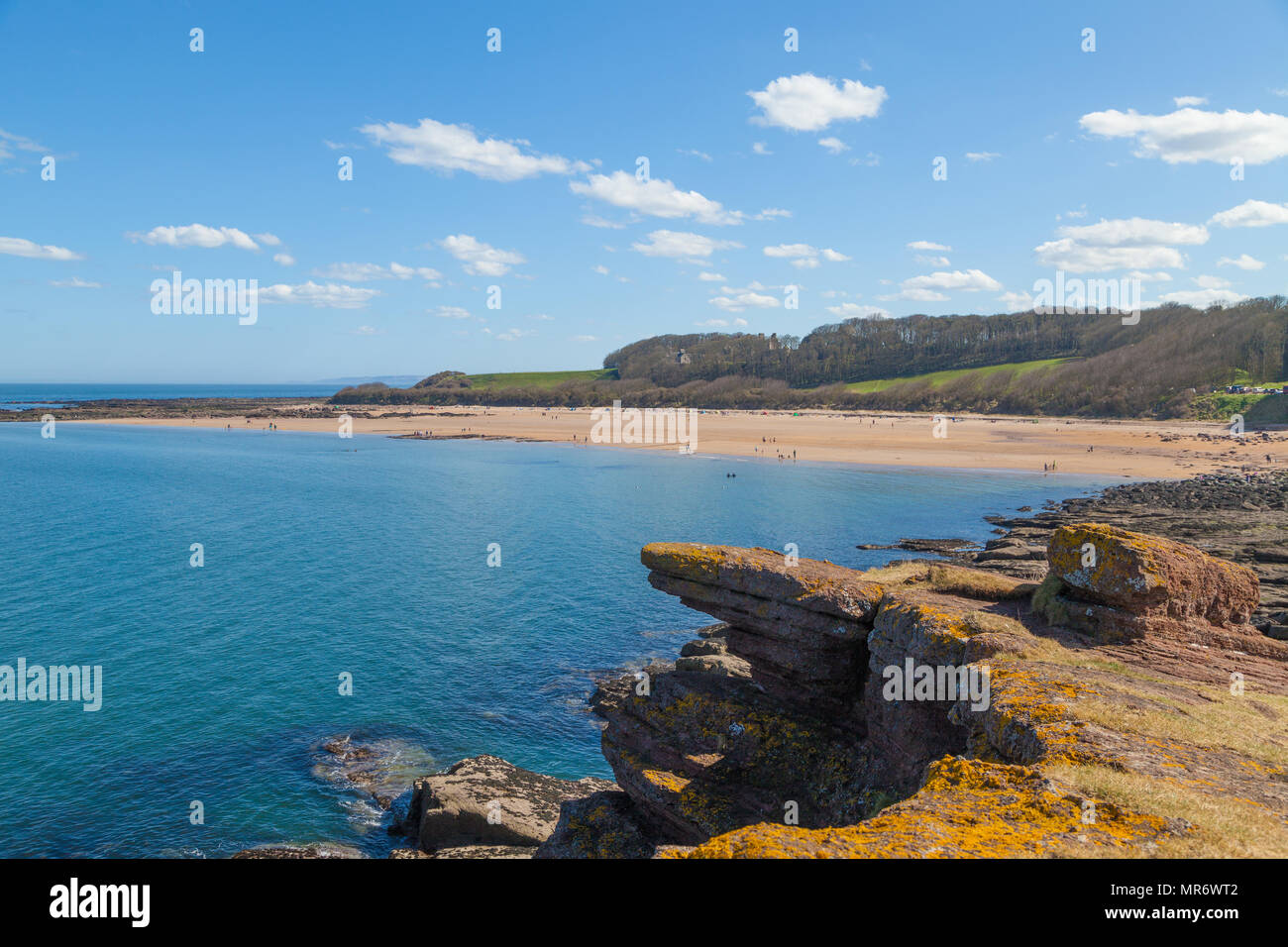 Seacliff Beach Near North Berwick East Lothian Scotland Stock Photo Alamy