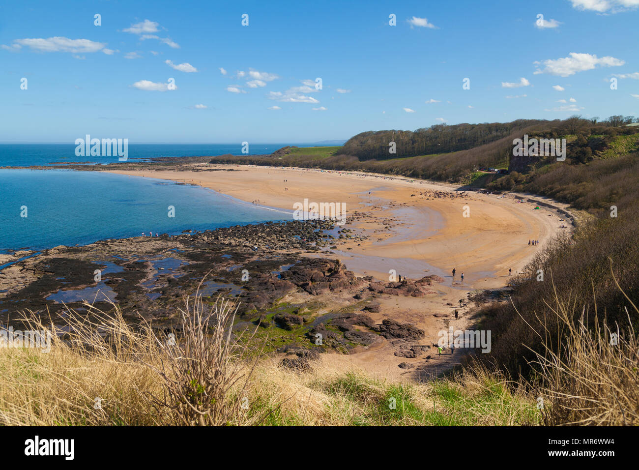 Seacliff Beach Near North Berwick East Lothian Scotland Stock Photo