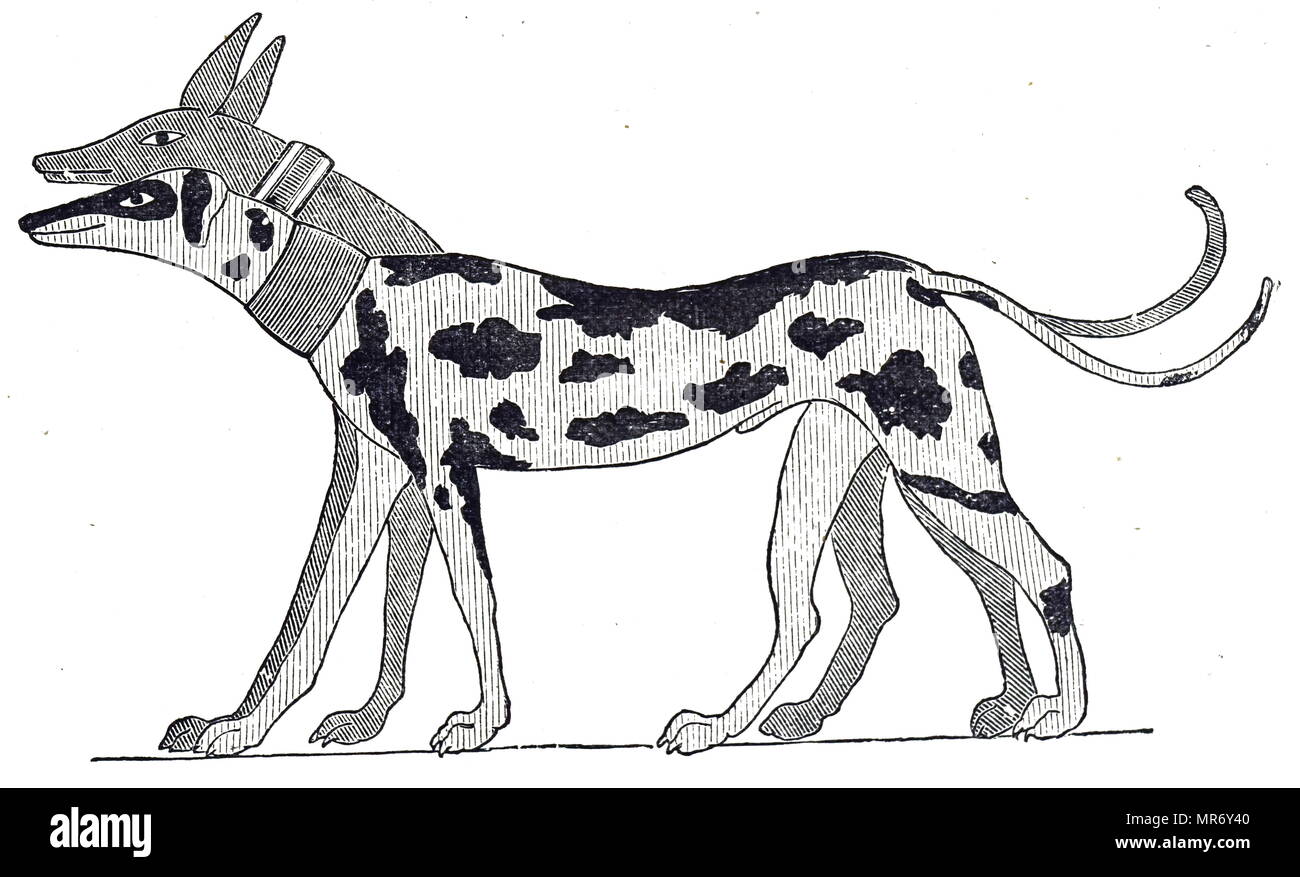 Ancient dog painting hi-res stock photography and images - Alamy Ancient dog painting hi-res stock photography and images - Alamy