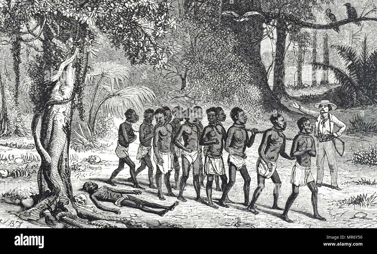 Engraving depicting a band of slaves, enclosed in a barracoon, passing the remains of other slaves who had died during transit. Dated 19th century Stock Photo