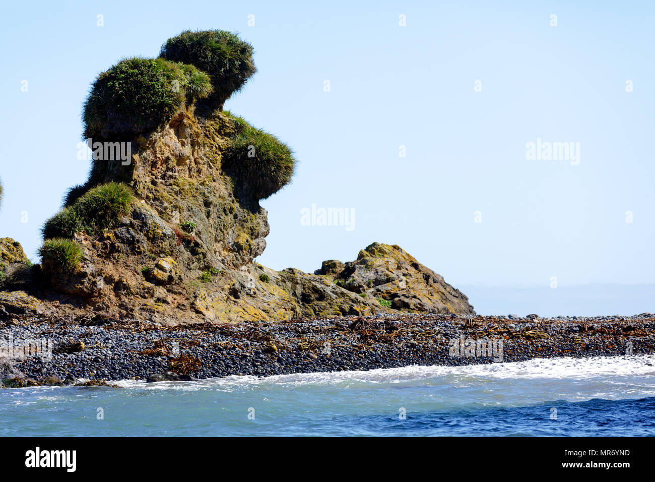Natural Heritage Site Puñihuil, Chiloé, Chile: The monument is the only known shared breeding site for Humboldt and Magellanic penguins. Bear's Rock,  Stock Photo