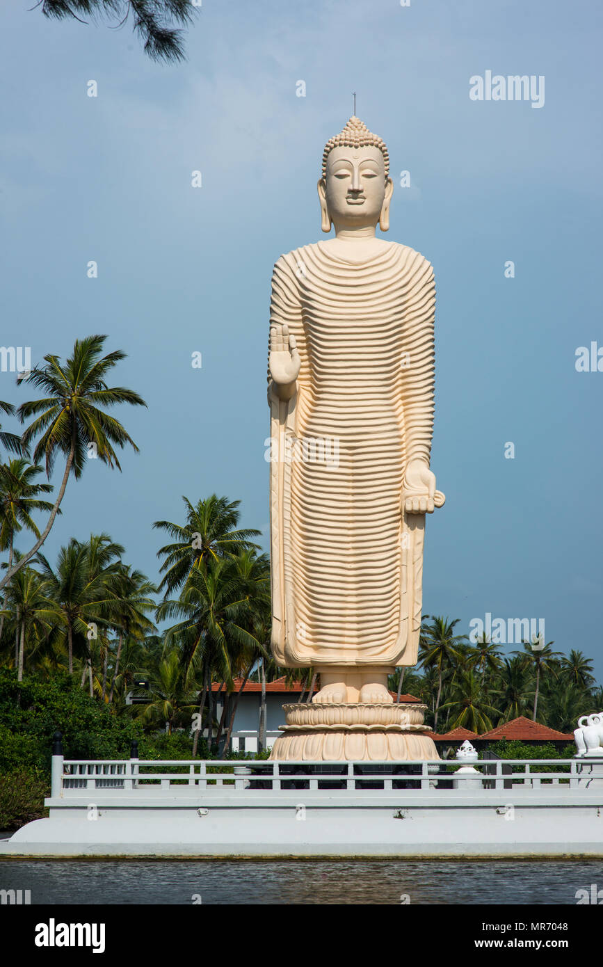 standing buddha statue on river bank in Sri Lanka Stock Photo - Alamy